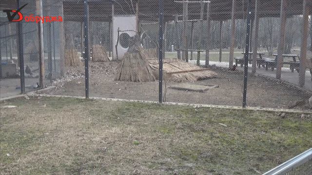 Животните в ЦЗПЖ копнеят за човешко присъствие смотреть онлайн