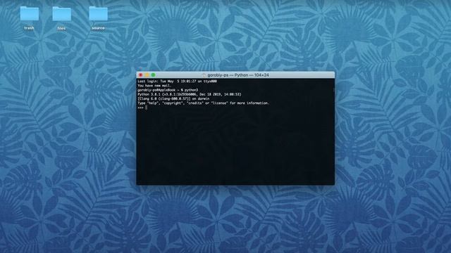 Как установить Python на Mac OS, Windows или Linux | Базовый курс. Программирование на Python смотреть онлайн