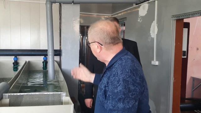 Рыбный цех, 01.06.21 смотреть онлайн