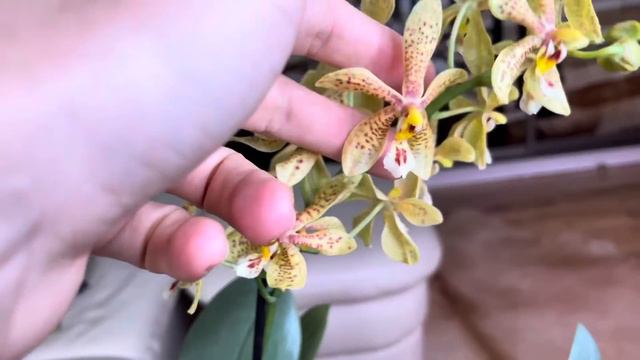 Красота спасает мир каждый день 😁🌸 смотреть онлайн