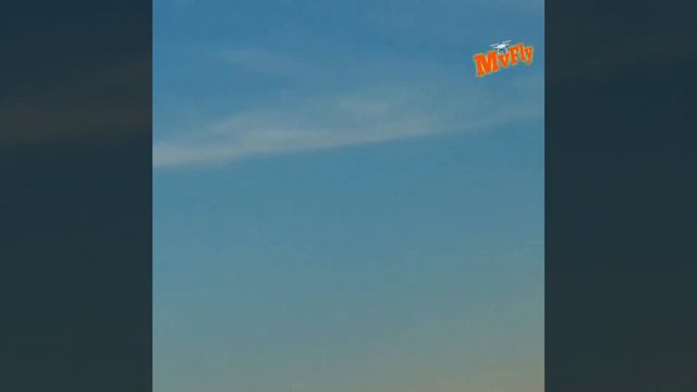 Drone sg906 pro a ser filmado na praia смотреть онлайн