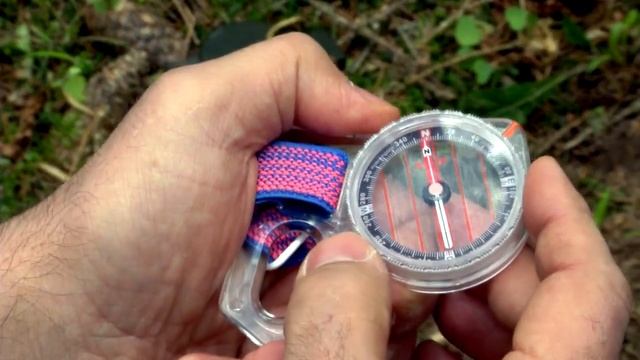 Ориентирование в лесу с помощью компаса.
