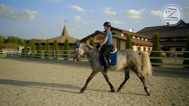 Мастер-класс с Ольгой Зибревой по выездке. 1 день 6 всадник Виктория на орловском рысаке смотреть онлайн