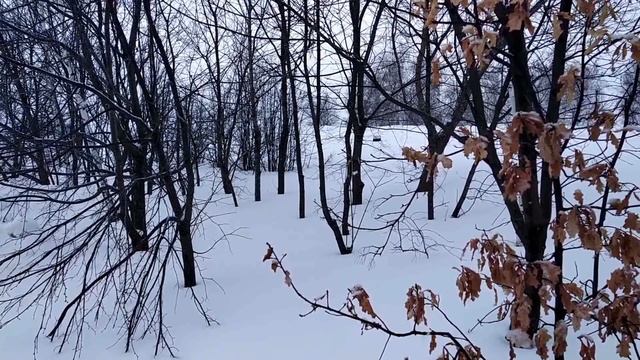 ДЕНЬ ТРЕХ СВЯТИТЕЛЕЙ 12 февраля.Нельзя рукодельничать.Примета скорой болезни смотреть онлайн