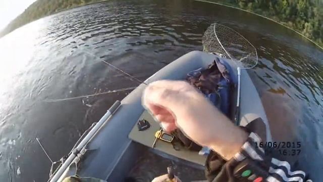 Ловля хищника смотреть онлайн