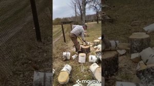Как разрубить берёзовые чурки