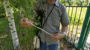 как связать веник для бани простым и удобным узлом?