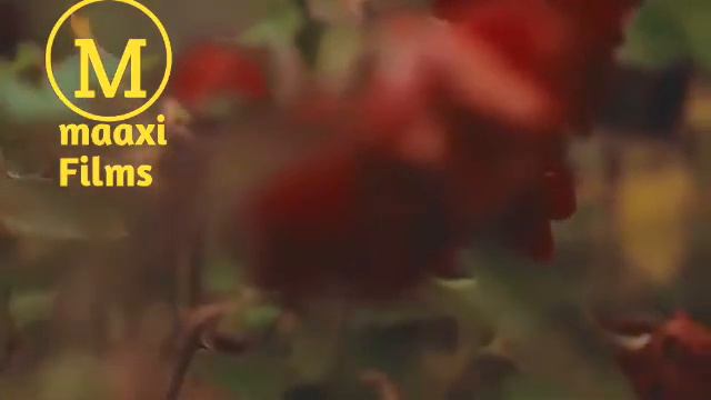 Ahmed Zaki ft ikraan Caraale hees cusub 2020 смотреть онлайн