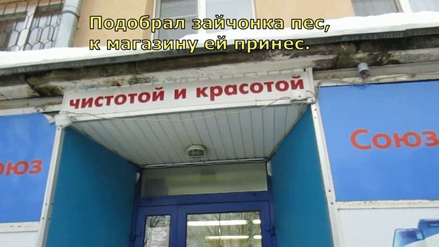 ПЕС И ЗАЯЦ. СТИХ смотреть онлайн