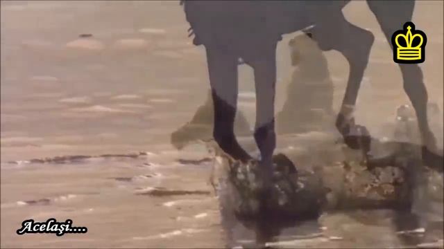 ♔ Allah Allah Ya Baba - Tunisian song ♔ смотреть онлайн