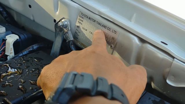 qub luag tshiab yus ces yuav tau kho kom zoo 31/12/2023 смотреть онлайн