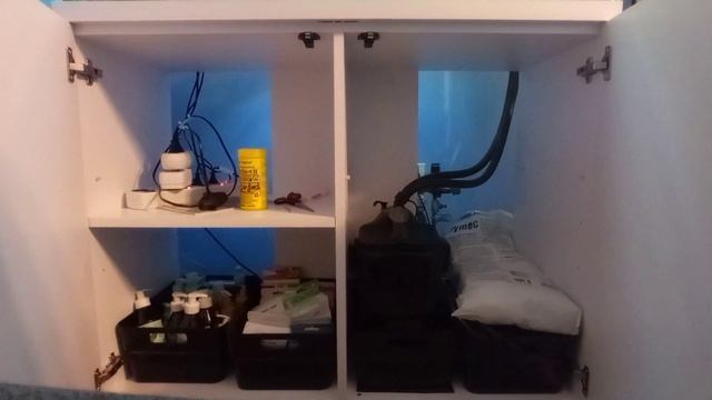 Aquael Opti Set 200 Po 40 Dniach