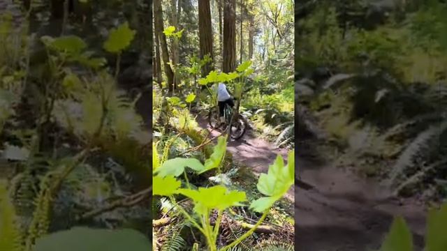 FALSE! - DO NOT ATTEMPT TO USE A DROPPER POST LIKE THIS смотреть онлайн