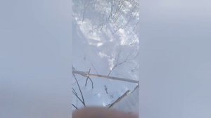 мотобуксировщик форза 8л.с. прогулка по льду.)))