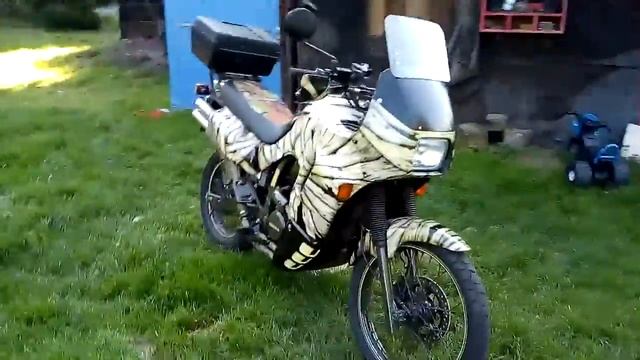 HONDA TRANSALP 600 1988 'MUMIA' New Live