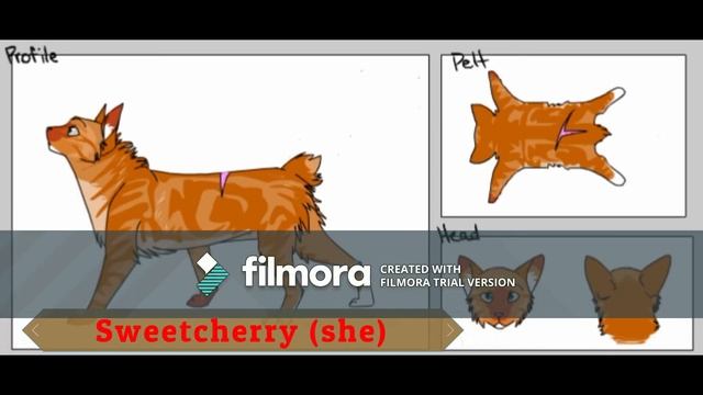 My OC Warrior Cat Clan смотреть онлайн