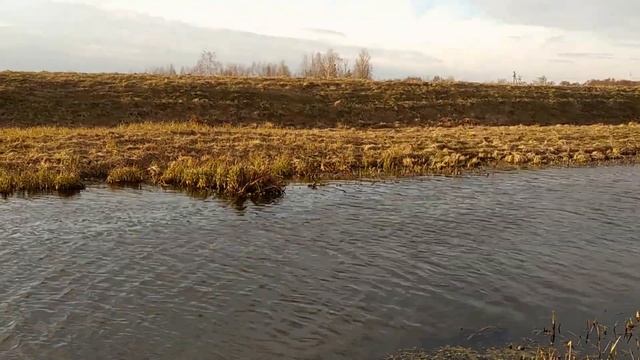РЫБКА, где же ты ? РЫБАЛКА В БЕЛАРУСИ. смотреть онлайн