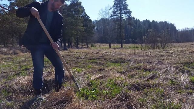 Корень лопуха, 3 мая 2018 г. смотреть онлайн