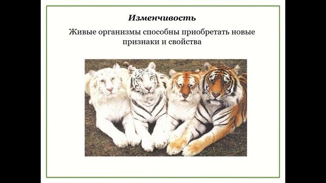 Свойства живой природы смотреть онлайн