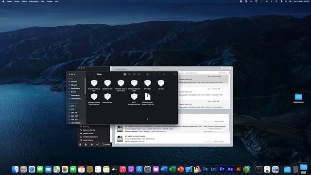 Hackintosh AMD Radeon Pro WX 2100 For High SIerra , Mojave , Catalina , Big Sur