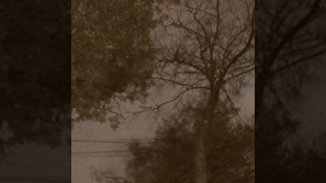 Игра (Кавер В.Цой)