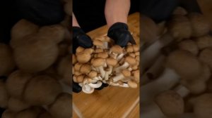 All Bayashi's videos in 2023 | MUKBANG | COOKING | ASMR