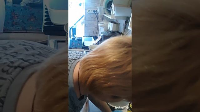 пп вафли 2 варианта смотреть онлайн