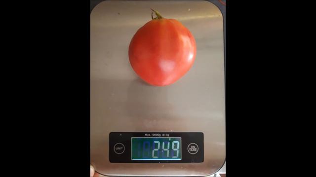 TOMATE : 1884 Strawberry Wedge смотреть онлайн