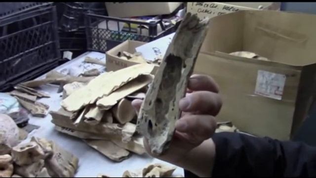Косторезная мастерская с раскопа по переулку Социалистический 51 Часть 3 смотреть онлайн