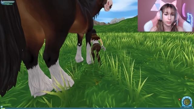 SPOILER ‼️ BUYING THE UPDATED SHIRE ? IN STAR STABLE! смотреть онлайн