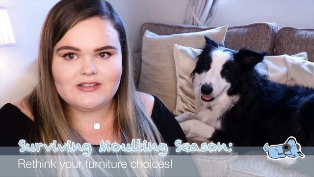 How to Stop Dogs Shedding! Dog Survival Kit: Moulting! смотреть онлайн