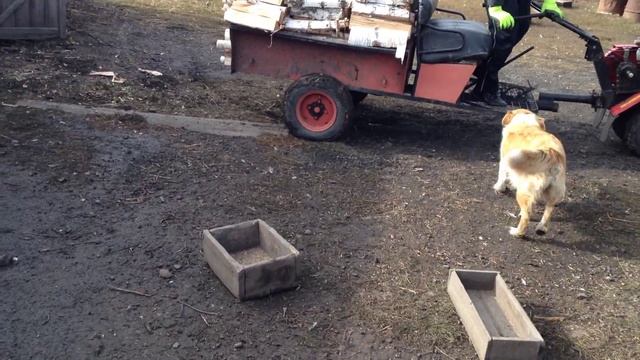 Мотоблока Ока -на что он способен, часть 2 смотреть онлайн