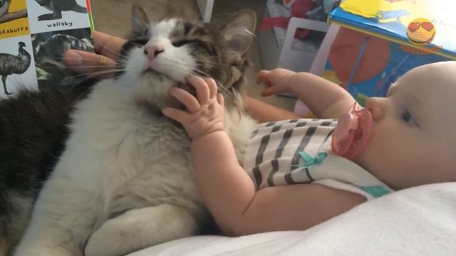 Кошки и дети - Мега позитив! / Funny Videos Cats and Kids! смотреть онлайн