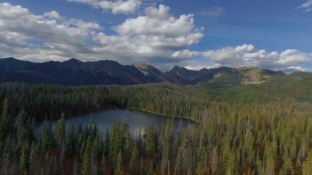 Highlands - Montane Forests, Alpine Meadows, Tropical Moorlands - Biomes#10 смотреть онлайн