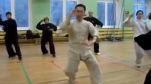 Ван Лин. Тайцзи Ян 24 формы. Проработка форм