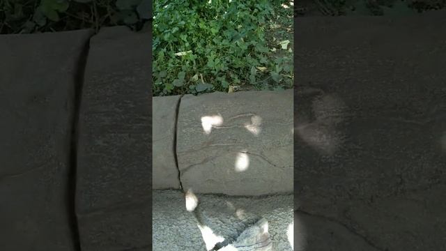 Как я делала бордюр... смотреть онлайн