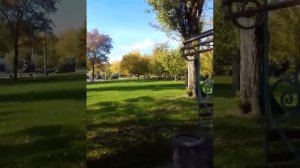 Среда 20 октября 2021 день Покров Украина Днепропетровская область