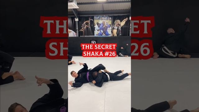 Pie got the memo #bjj #jiujitsulifestyle смотреть онлайн