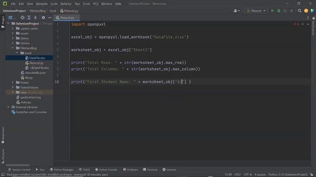 Part 16 | Selenium With Python Tutorial For Beginners | Read Excel Files in Python | Openpyxl смотреть онлайн