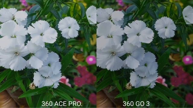 Insta360 Ace Pro Vs Insta 360 GO 3 Camera Test Comparison