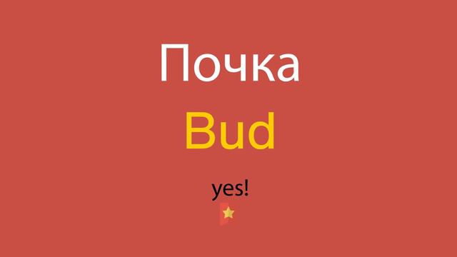 Почка по-английски смотреть онлайн