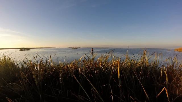 Охота на утку в Астраханской области на каспийских раскатах 2016 смотреть онлайн