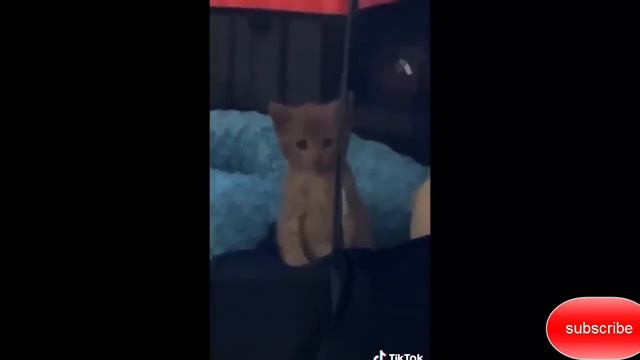 Can you watch this till the end without laughing 🤔 happy years 2023 смотреть онлайн
