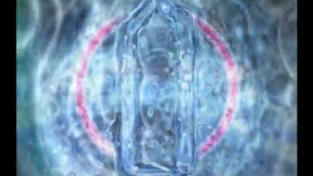 Рекламный ролик шампунь 