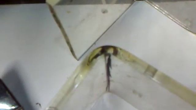 как согнуть оргстекло гибка оргстекла смотреть онлайн