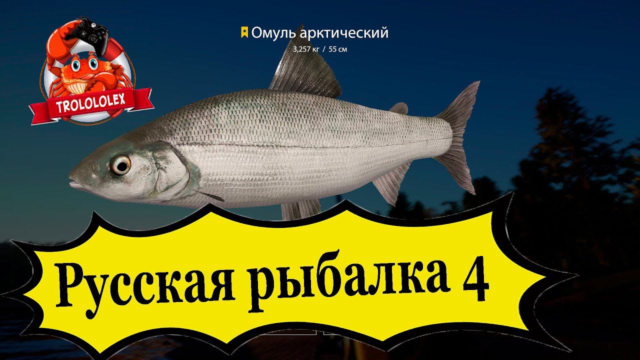 Русская рыбалка 4 Шел за миногой а вышел мировой рекорд недели смотреть онлайн