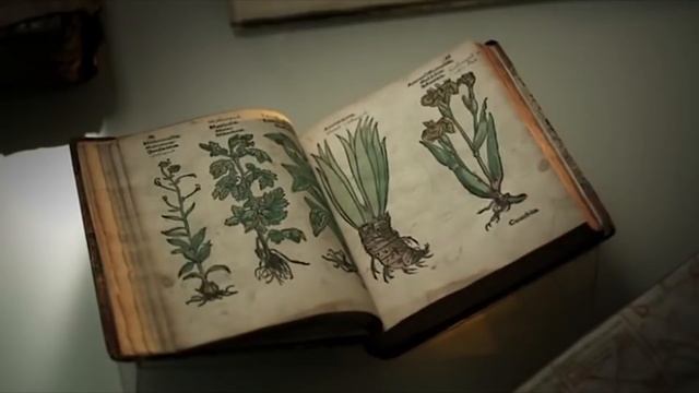 दुनिया की सबसे रहस्यमई Ancient Book | Voynich Manuscript The Mysterious Book in The World in Hindi смотреть онлайн