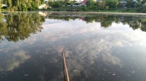 Рыбалка на КАРПА | Супер уловистая ПРИКОРМКА на КАРАСЯ и КАРПА с 4 ингредиентов!!!