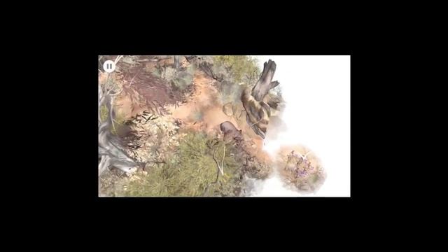 Paperbark - a review смотреть онлайн