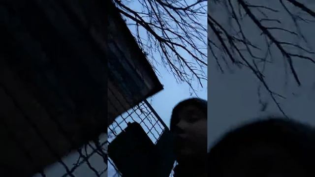 БОГДАН гю смотреть онлайн
